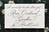Rose Orchard Garden // Romantic Font