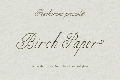 Birch Paper // Handwritten Script Family