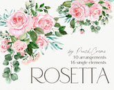 Rosetta // Watercolor Set