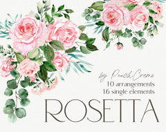 Rosetta // Watercolor Set