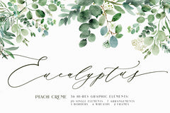 Eucalyptus // Illustration Vol.3