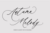 Autumn Melody // Wedding Calligraphy Font