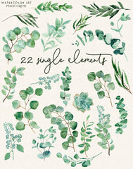 Lovely Eucalyptus // Watercolor Set