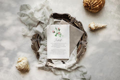 Rosetta // Watercolor Set