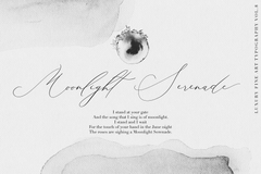 Beloved Gray , , - peachcreme.com