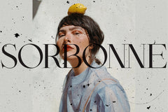 Brand Stylist Font Duo