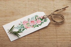 Rosetta // Watercolor Set