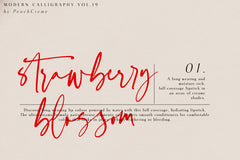 Faustine Modern Script , , - peachcreme.com