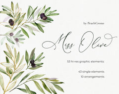 Miss Olive // Watercolor Set