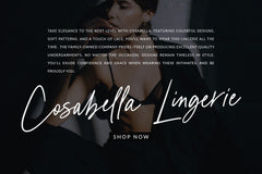 Chelsie Hilton // Luxe Signature Font