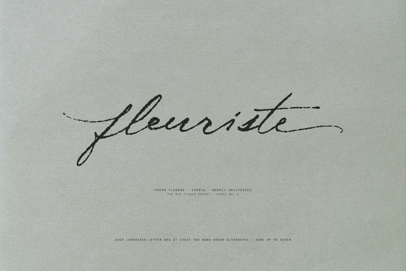 Midnight Symphony brush script font — hero wordmark on pale sage paper