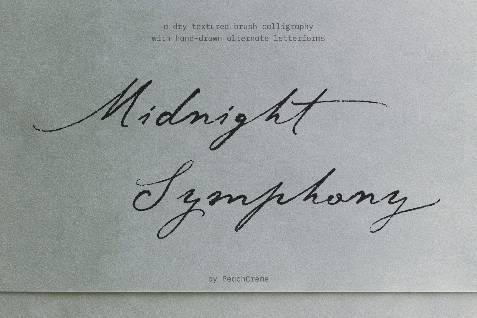 Midnight Symphony handwritten brush script on grey-blue paper