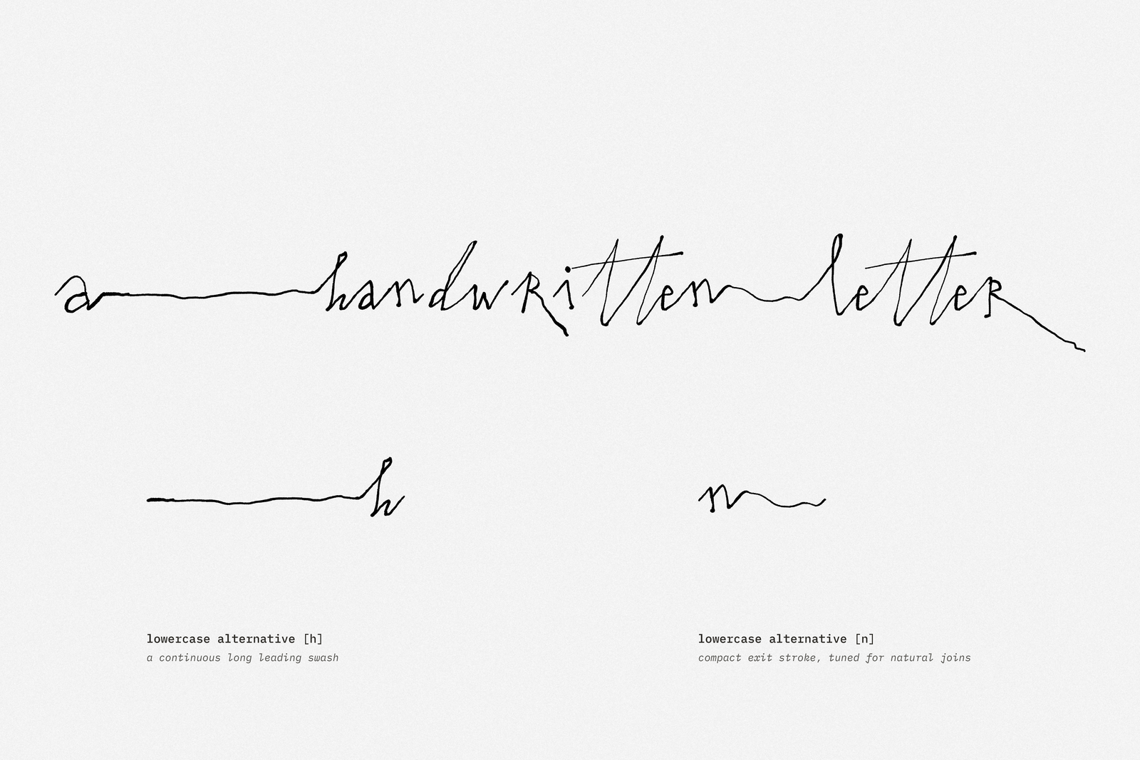 Bergamot font lowercase alternate forms specimen - a handwritten letter