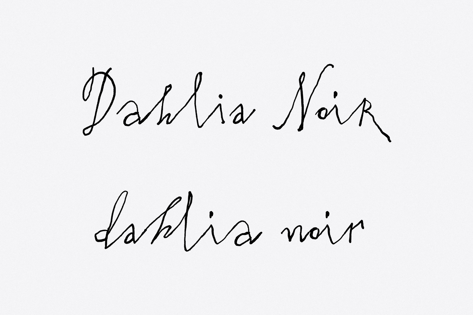 Bergamot font uppercase and lowercase comparison - Dahlia Noir