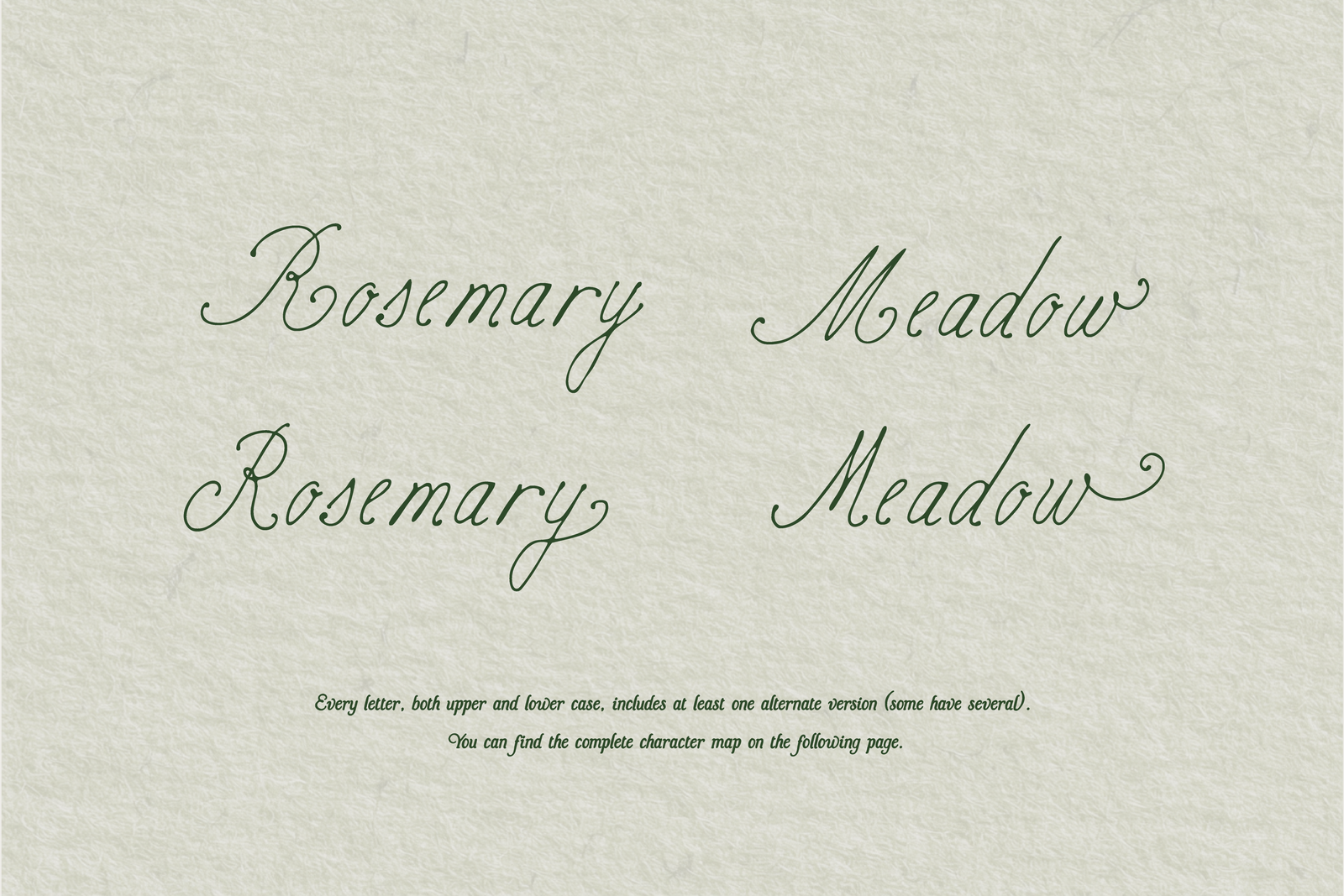 Birch Paper // Handwritten Script Family