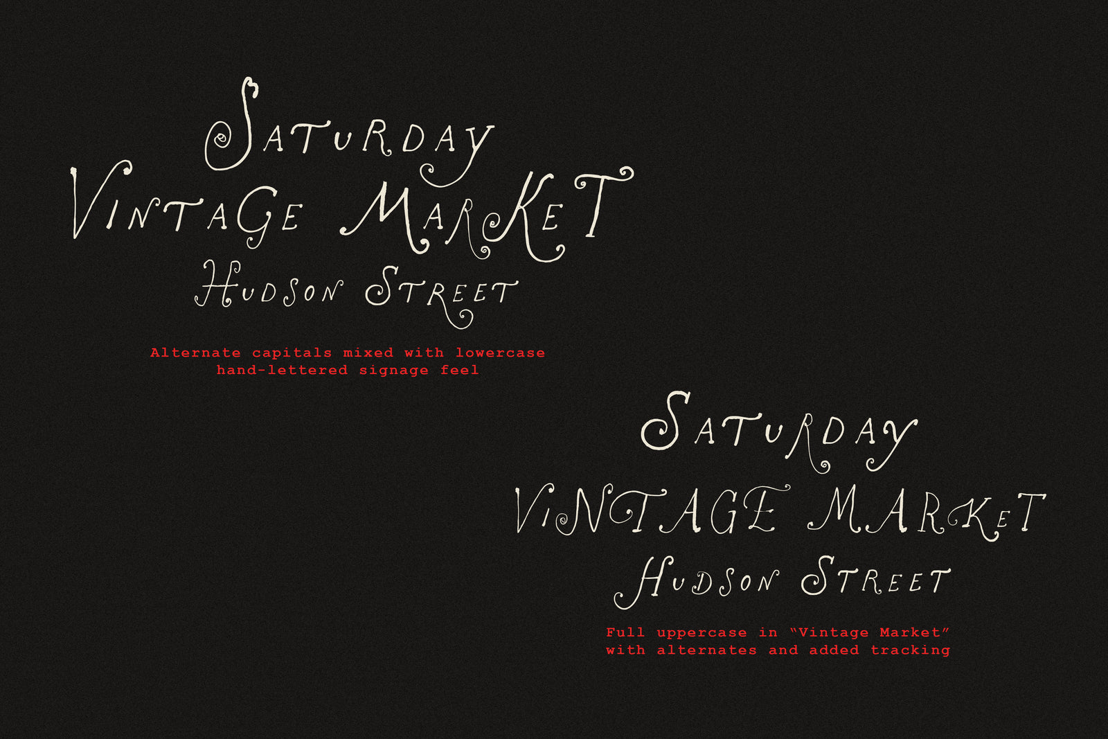 The Rose Atelier// Hand -drawn Font