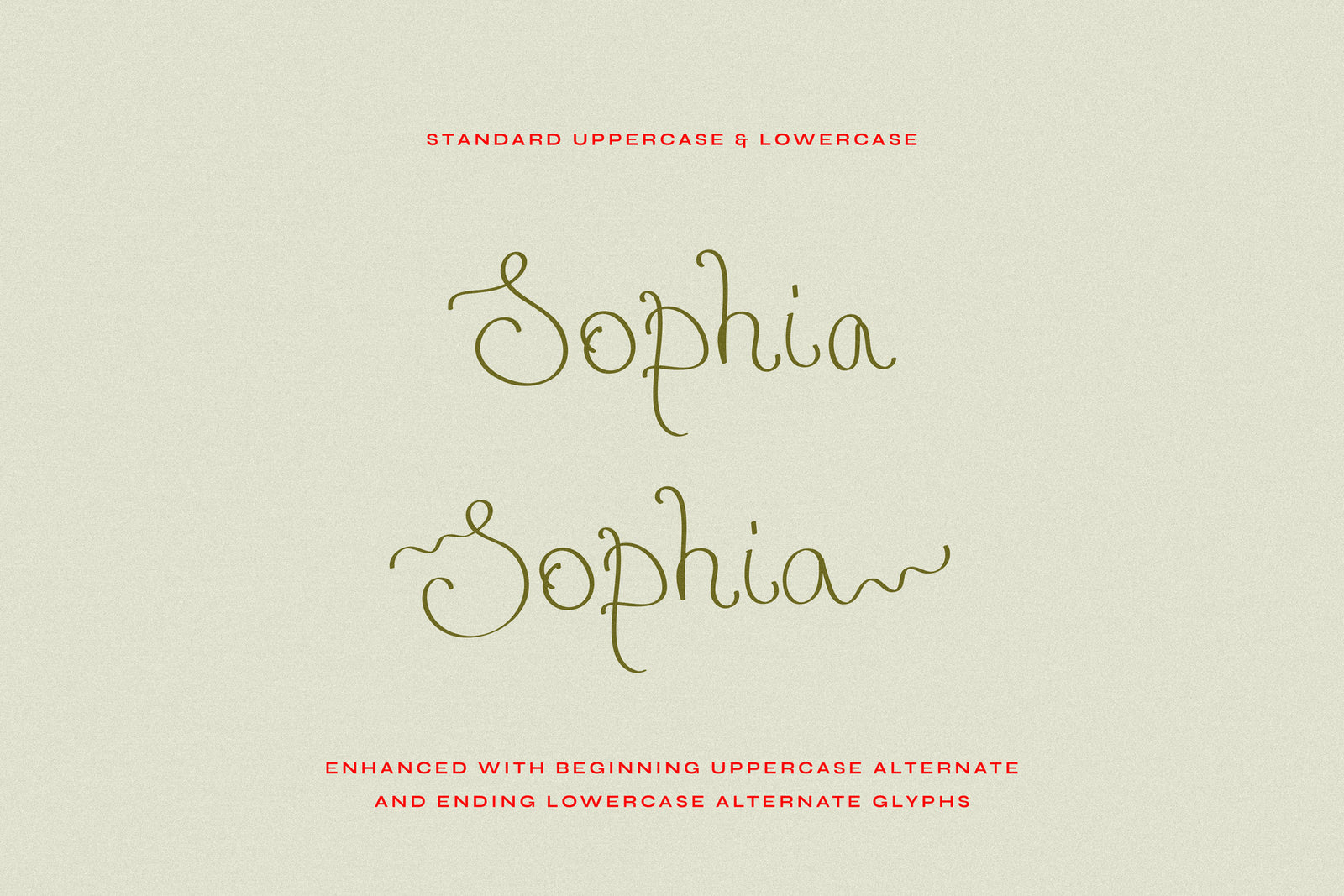Delicate Ribbons // Quirky Script Font
