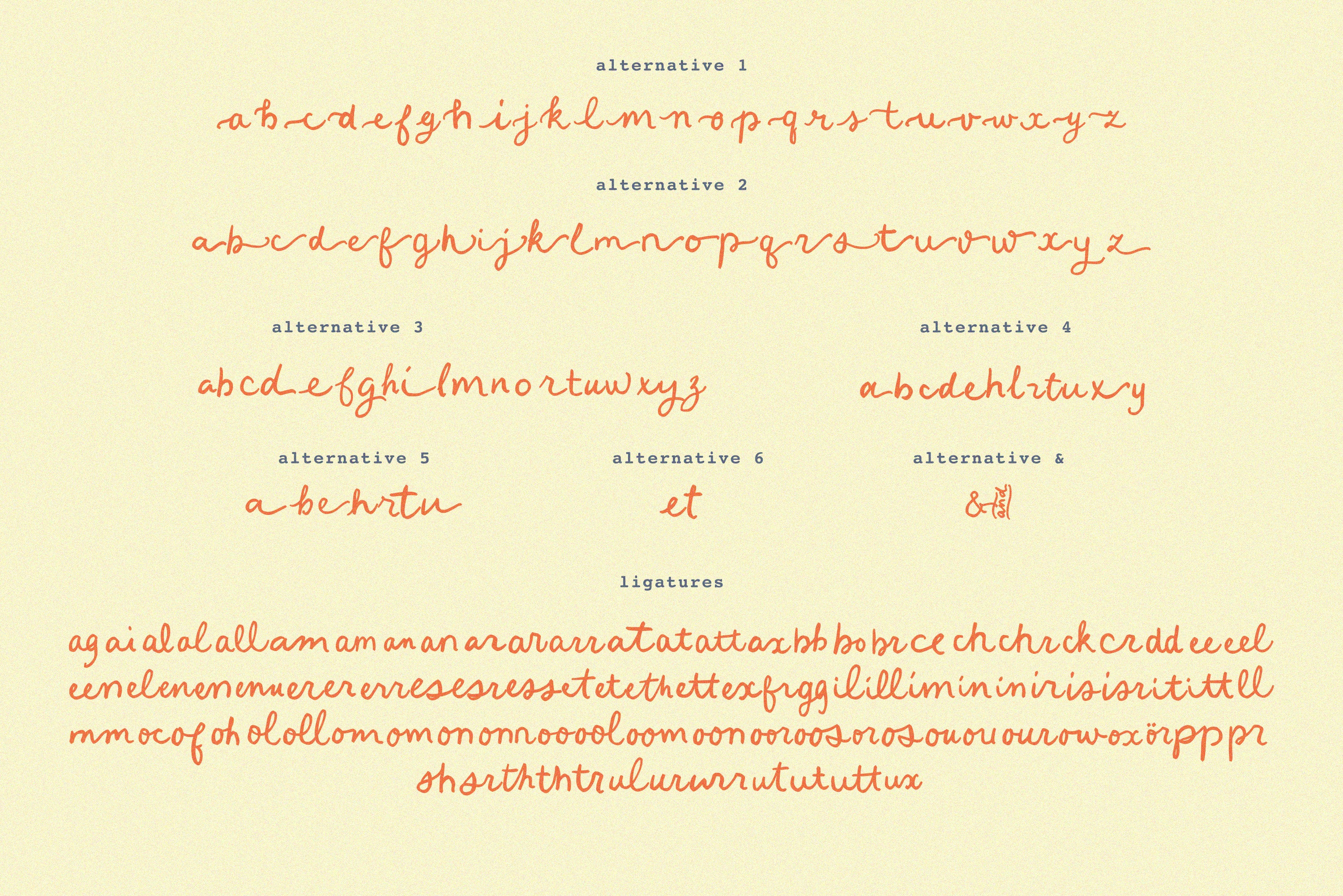 Limoncello Recipe // Handwritten font