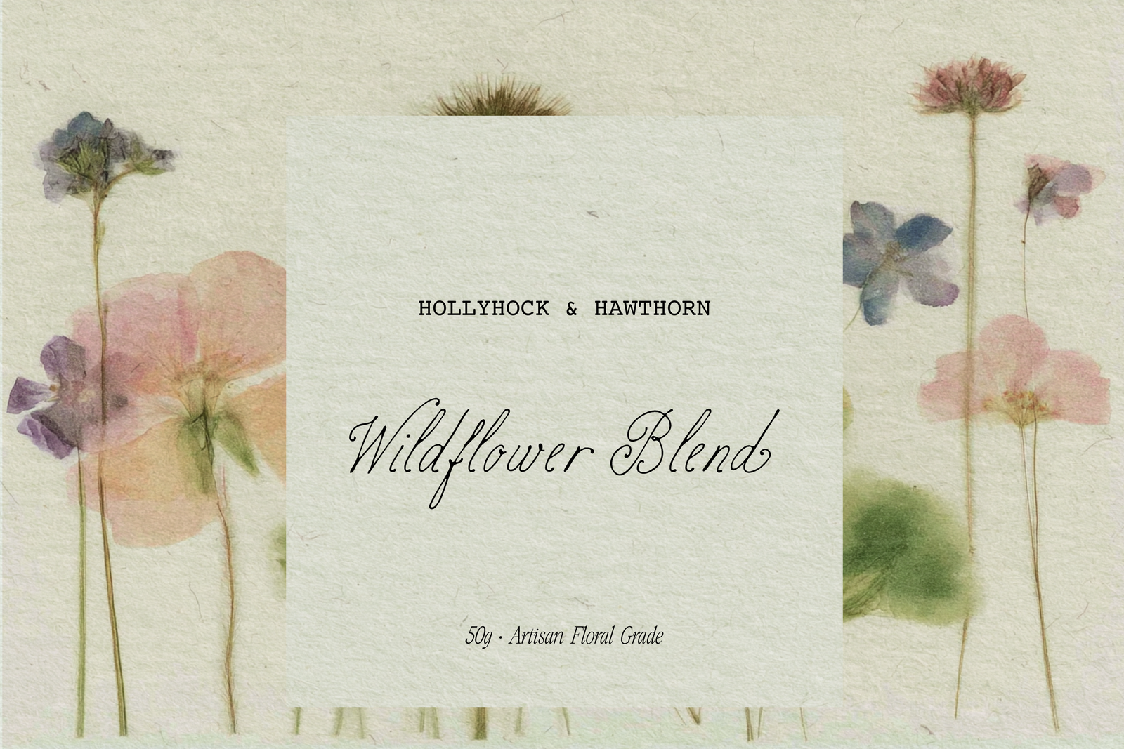 Birch Paper // Handwritten Script Family