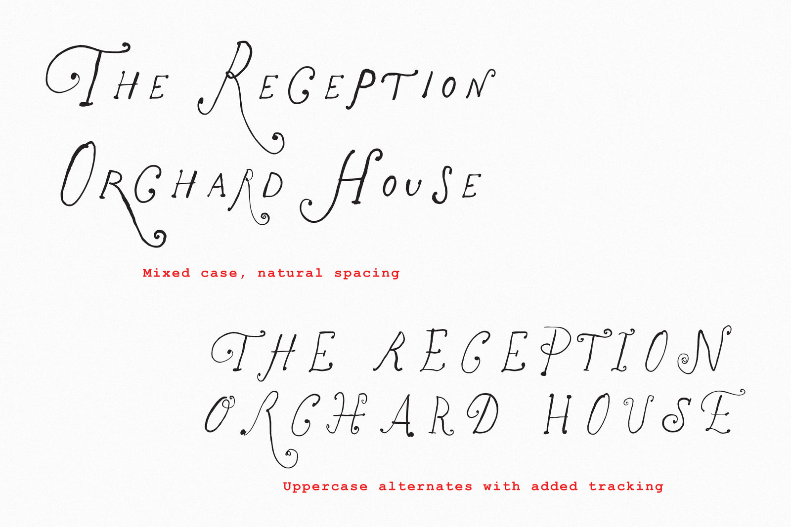 The Rose Atelier// Hand -drawn Font