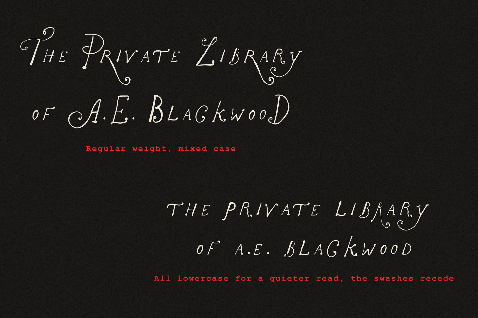 The Rose Atelier// Hand -drawn Font