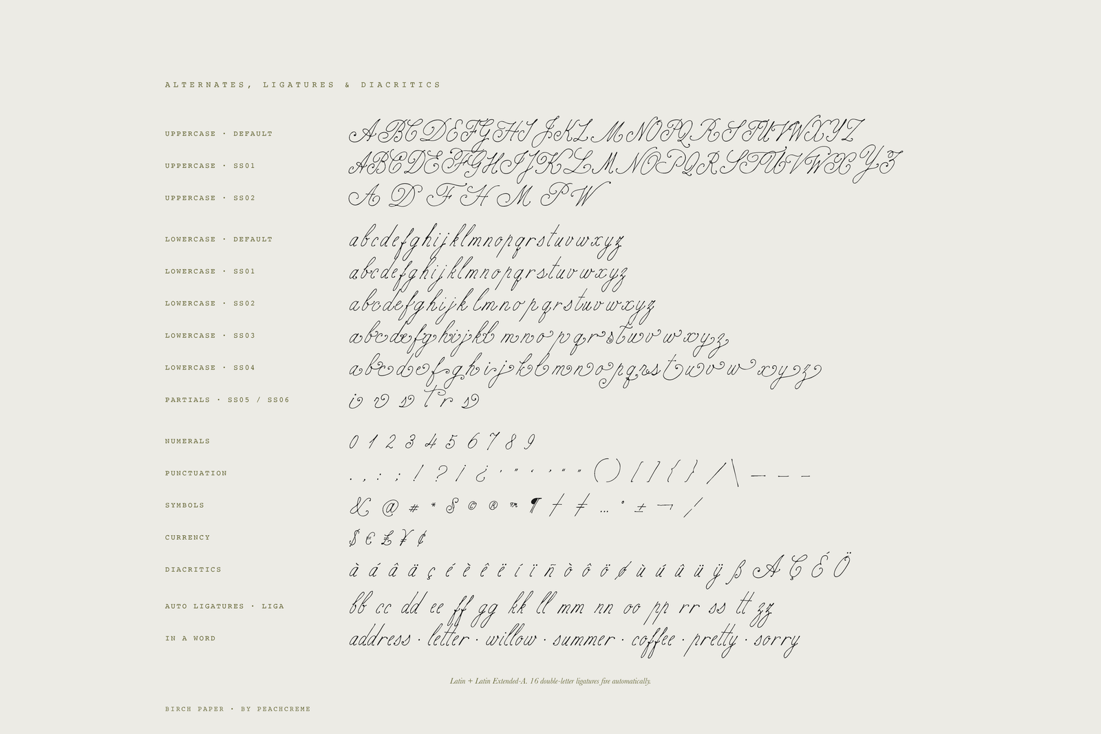 Birch Paper // Handwritten Script Family