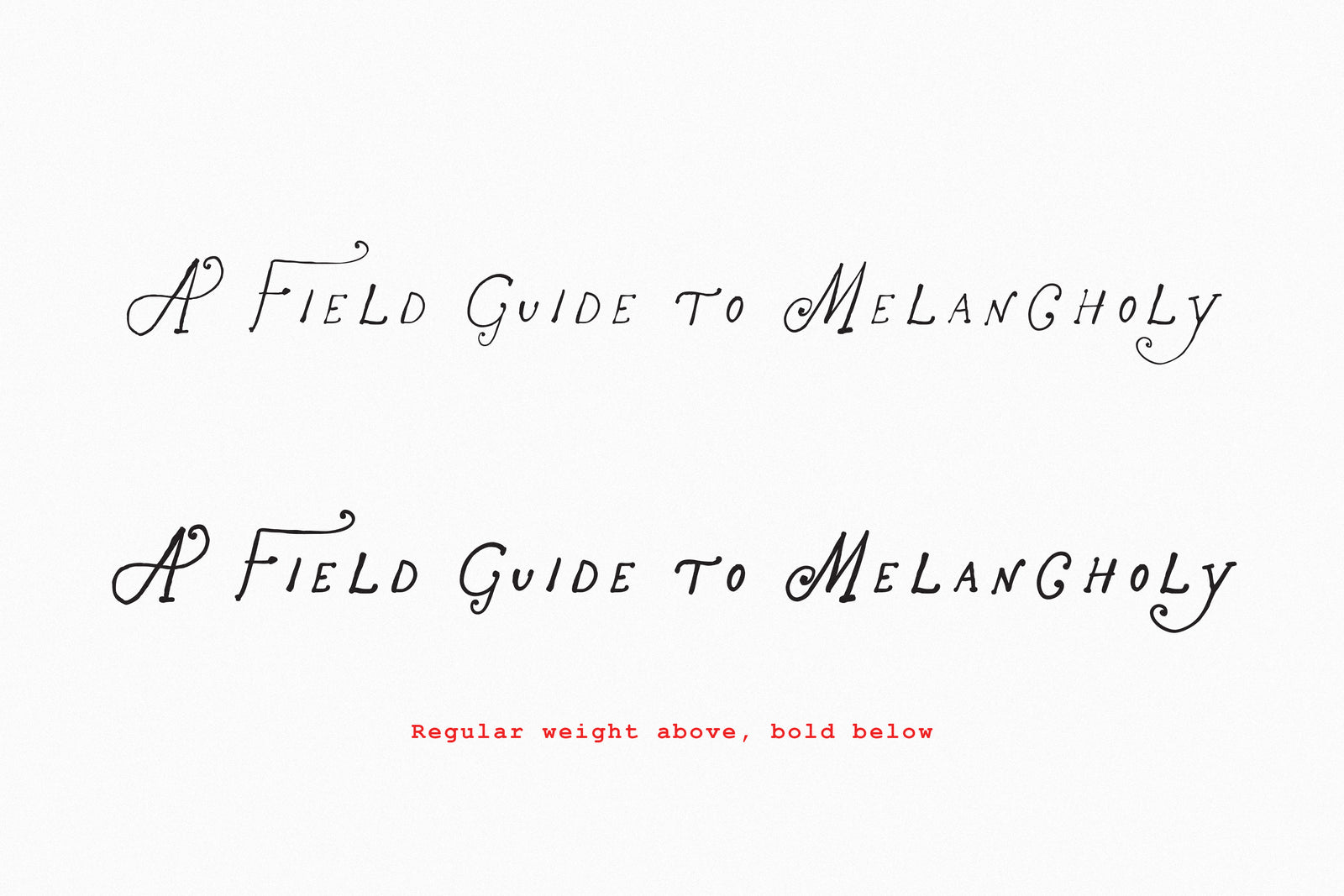 The Rose Atelier// Hand -drawn Font