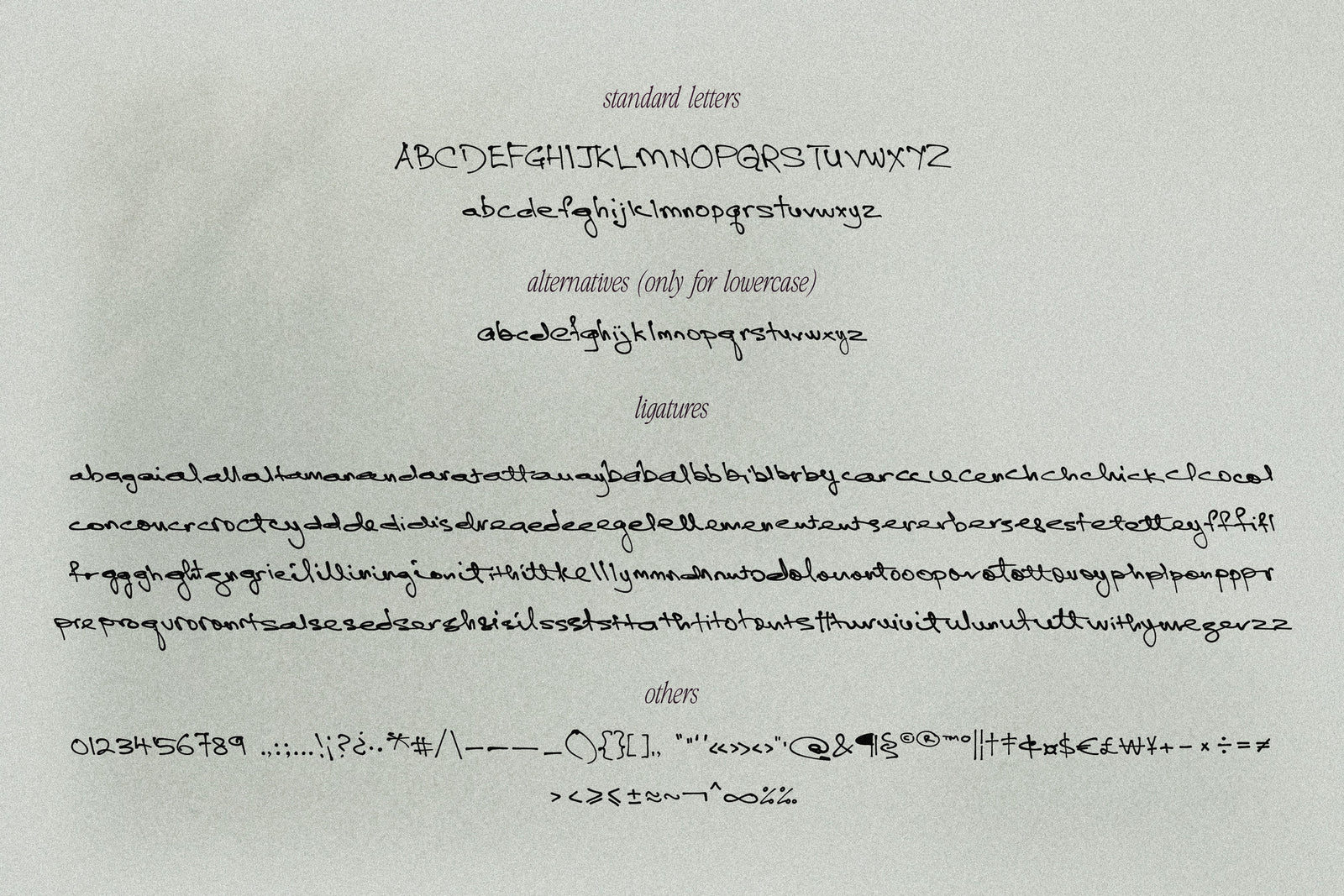 Casually Handwritten // Modern Font