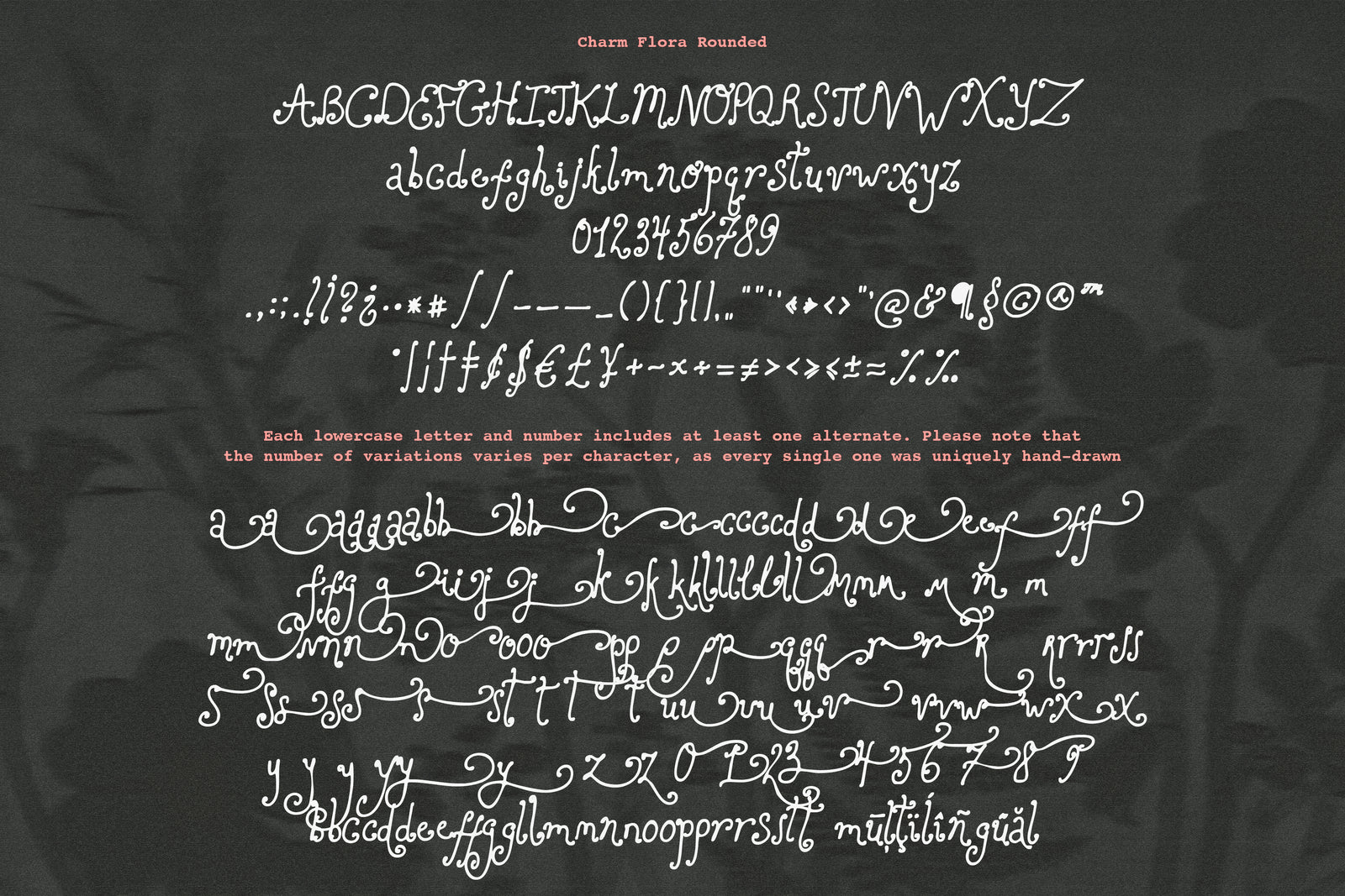 Charm Flora// Curly Font Set