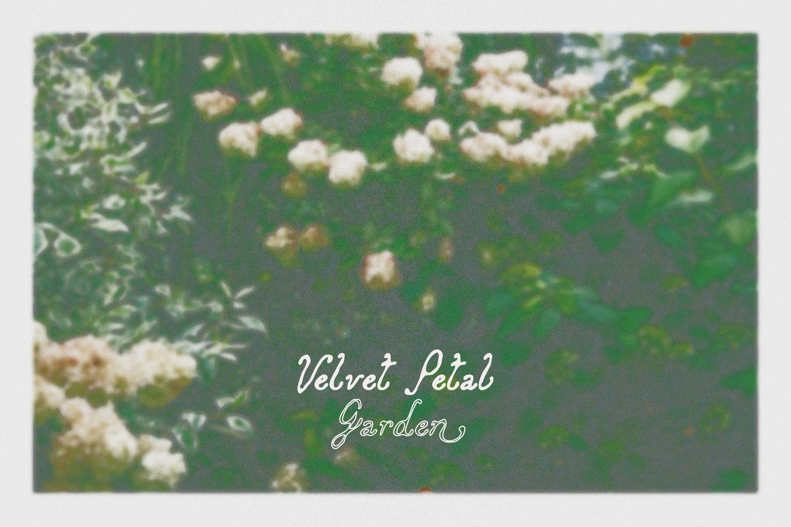 Folk Club // 17 Font Set (Pixel)