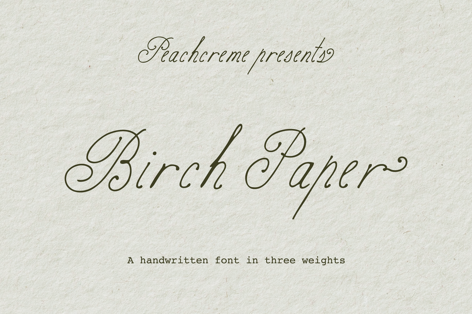 Birch Paper // Handwritten Script Family