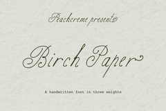 Birch Paper // Handwritten Script Family