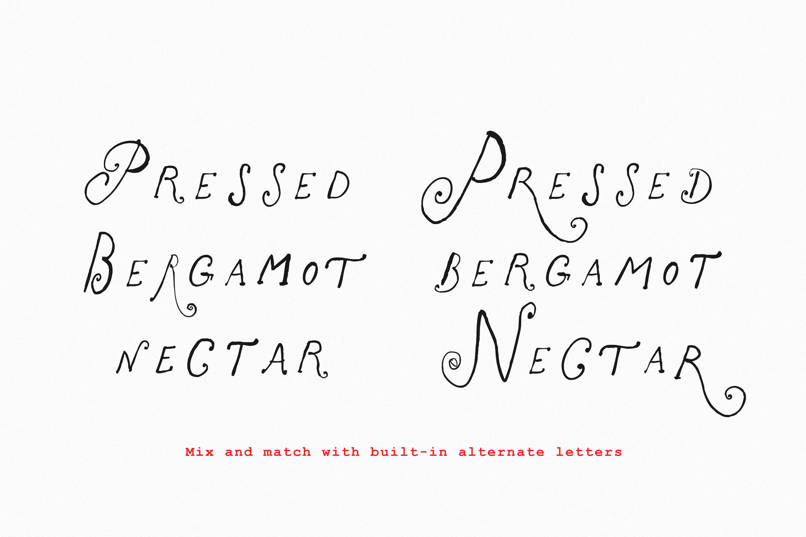The Rose Atelier// Hand -drawn Font