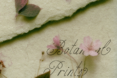 Birch Paper // Handwritten Script Family