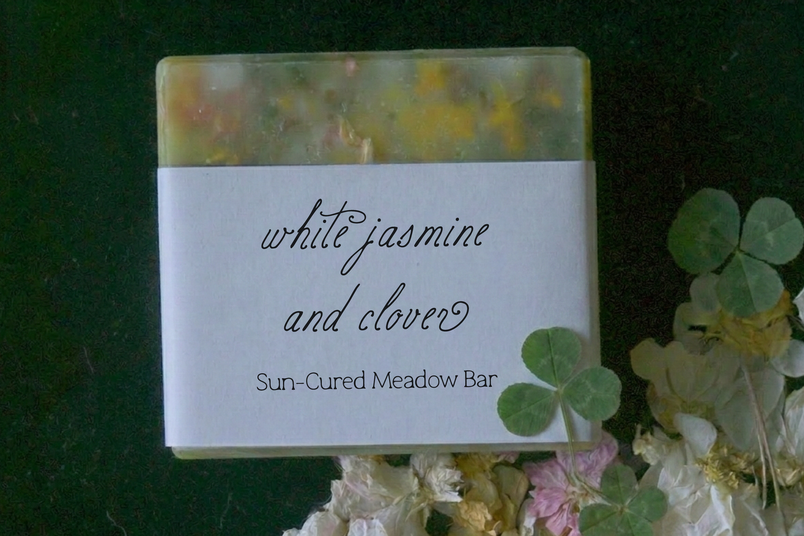 Birch Paper // Handwritten Script Family