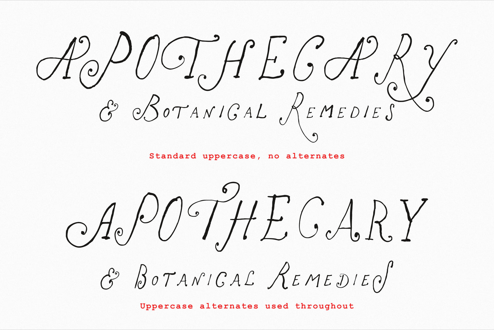 The Rose Atelier// Hand -drawn Font