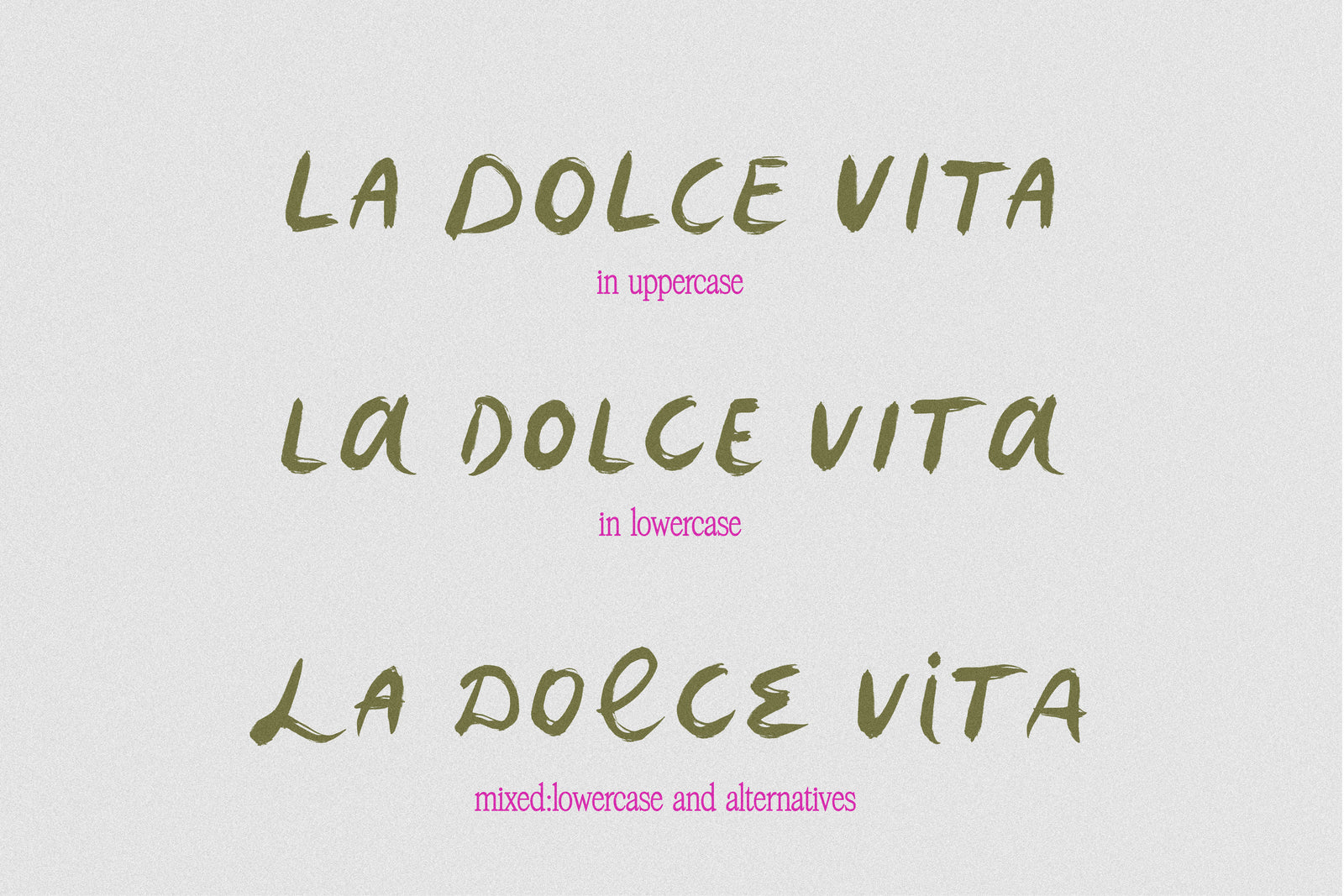 Mayflores// Brush Font