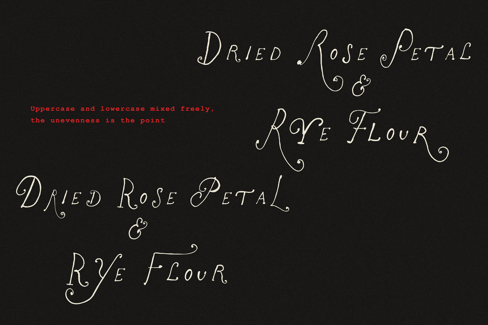 The Rose Atelier// Hand -drawn Font