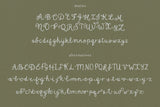 Birdhouse // Handwritten font