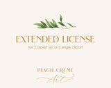 Extended License-for 3 clipart sets or 3 single cliparts