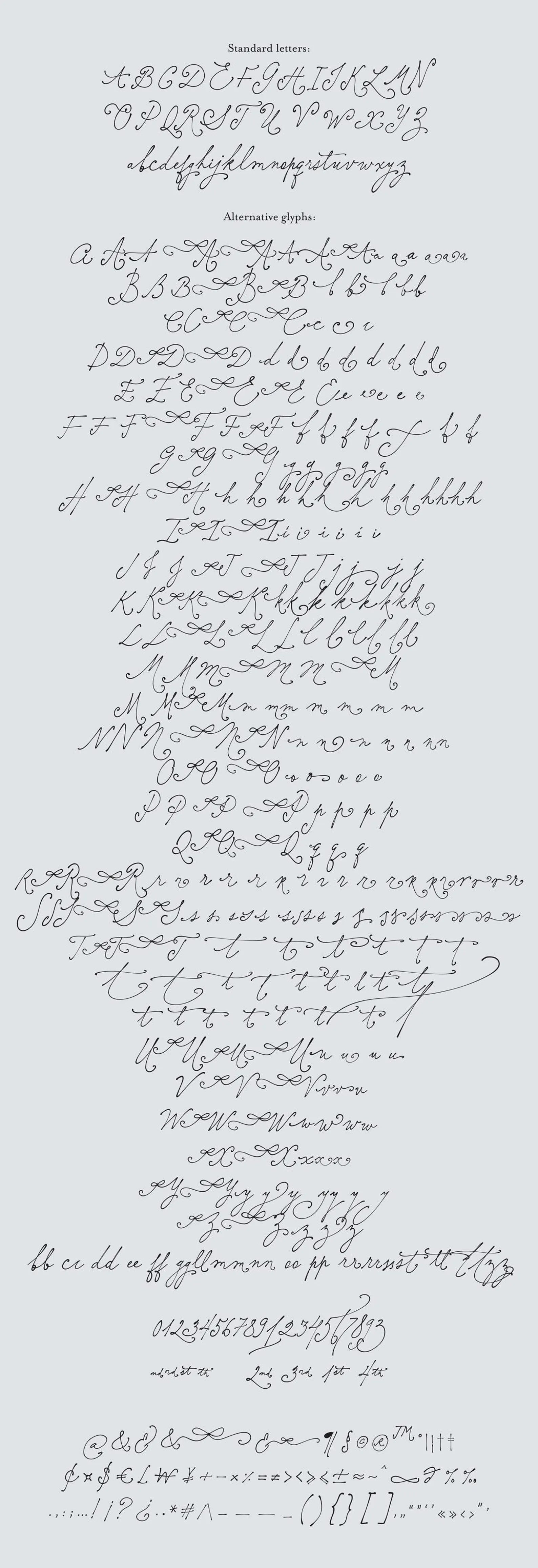 Elisabeth Darlington // Font with Bows