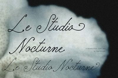 Le Studio Nocturne Set