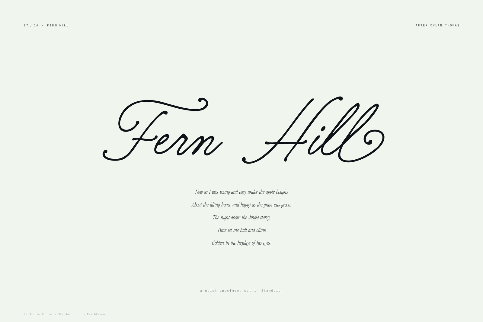 Le Studio Nocturne Set