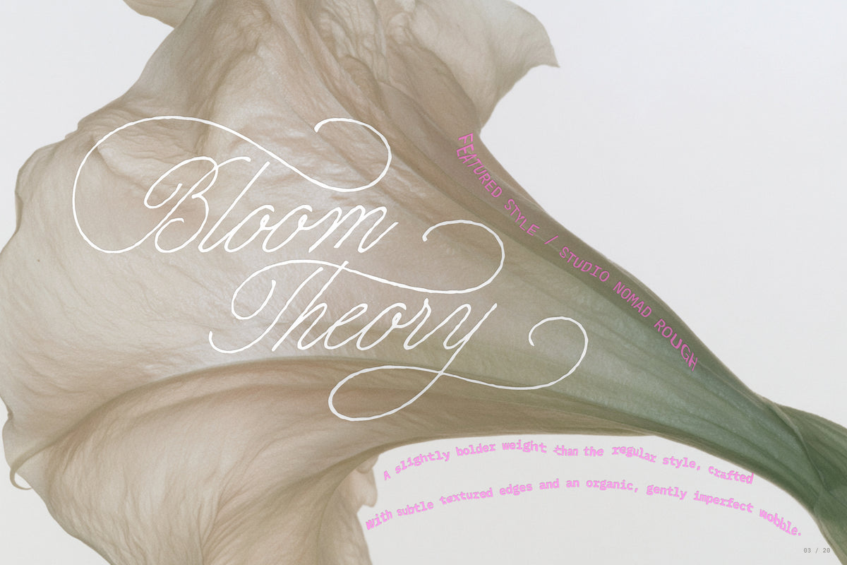Studio Nomad // Script Family