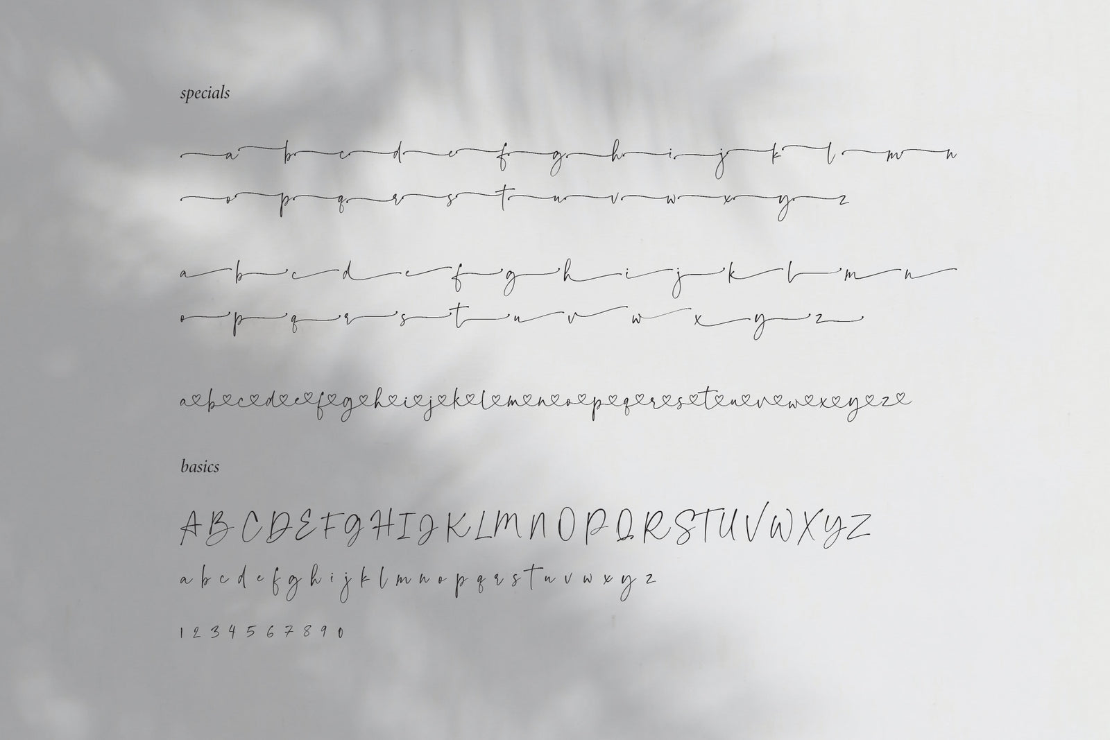 Palm Honey Script