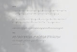 Palm Honey Script