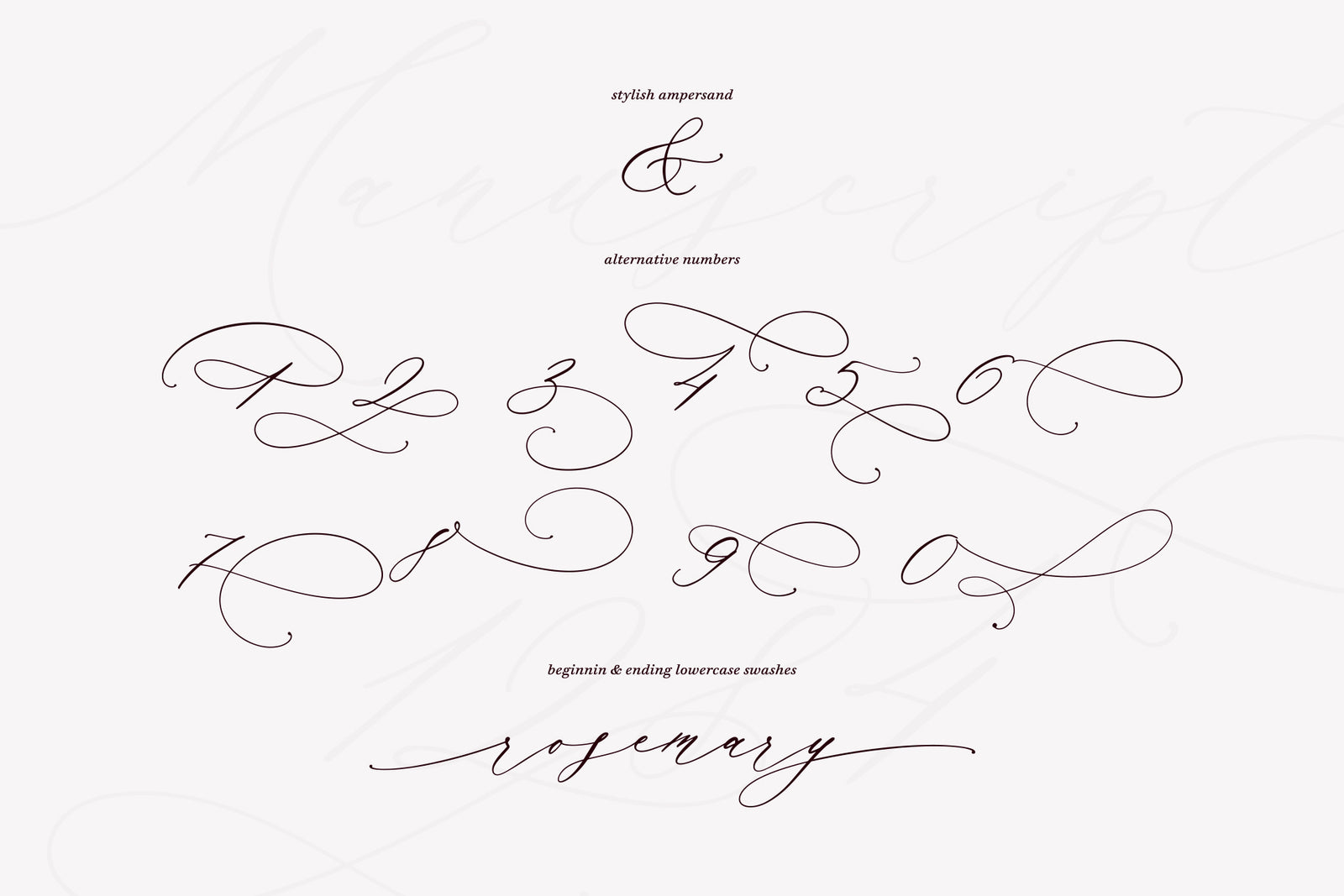 Manuscript 1284 Script