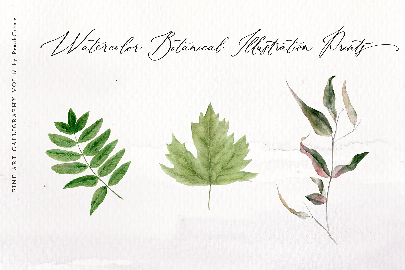 Roseberry & Beatrice Font , , - peachcreme.com
