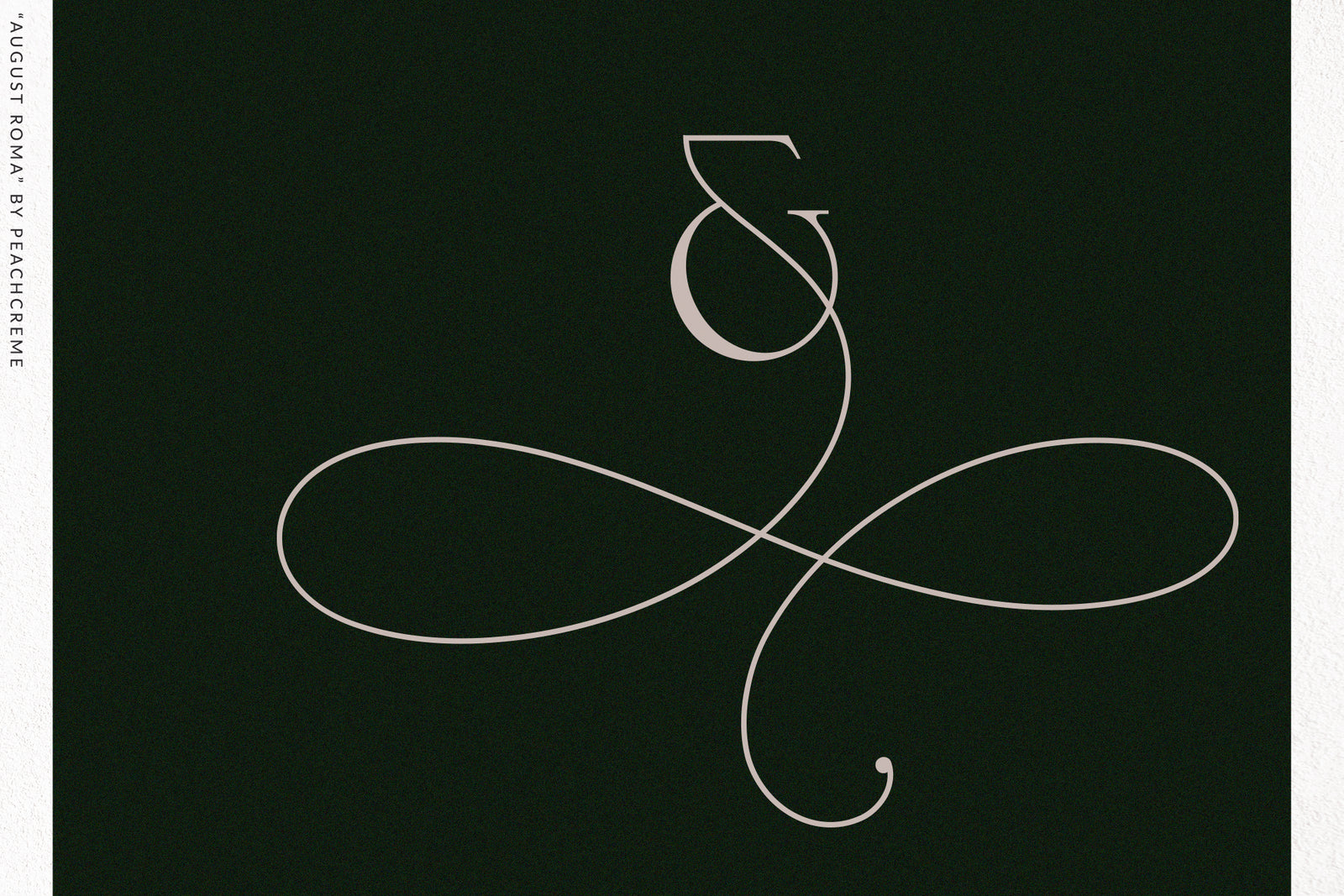 August Roma // Elegant Luxury Font Duo