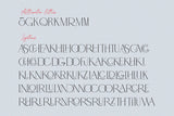 Adorn Story Font Duo